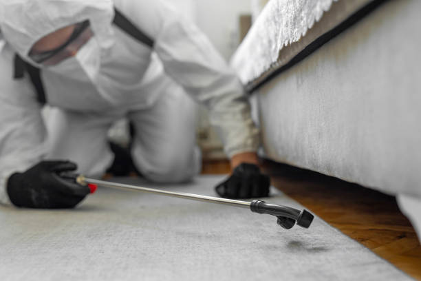 Professional Bed Bug Control technician working in Fairfield, AL