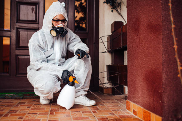 Reliable Bed Bug Control contractor in Fairfield, AL by Nex Pest Control