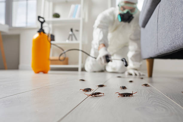 Trusted Termite Control service in Fairfield, AL - Nex Pest Control